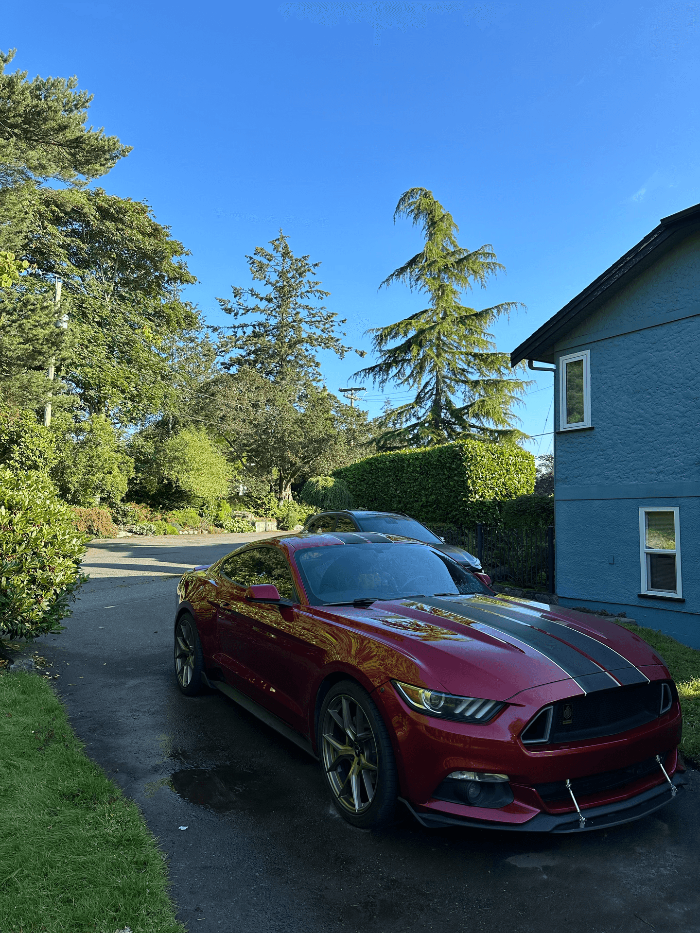 classic car detailing Victoria